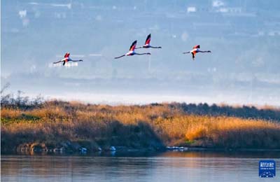  初冬時(shí)節(jié)，神州大地開(kāi)啟“美顏”模式  